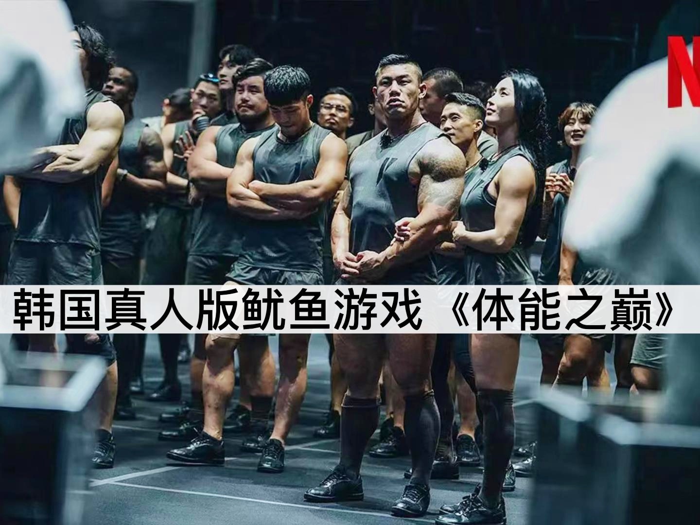 体操预选赛，钱塘海豚队与塞外铁骑队逆转，体能对抗拉满！全面提速抢占先机(全马430完赛怎么分配)